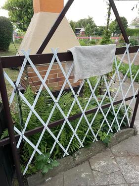 Foto - Grundst&uuml;ck in Nienburg (Saale)