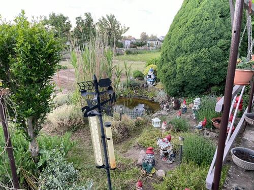 Foto - Grundst&uuml;ck in Nienburg (Saale) zur Miete