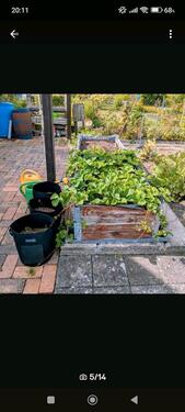 Foto - Grundst&uuml;ck in Neustadt bei Coburg zur Miete