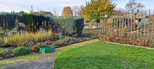 Foto - Gepflegter Schrebergarten abzugeben