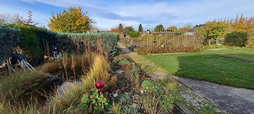 Foto - Grundst&uuml;ck zur Miete in Kabelsketal