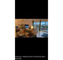 Luxury 2 room Apartment- Central Berlin Mitte-take over furnished