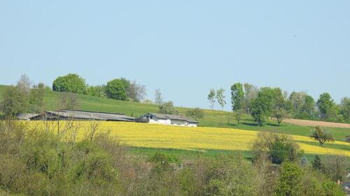 Foto - 2 Zimmer Etagenwohnung zur Miete in Lörrach