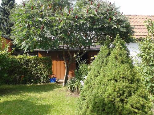 Foto - Gartengrundstück zu Verpachten - 90,00 EUR Kaltmiete, ca.  0,00 m²
