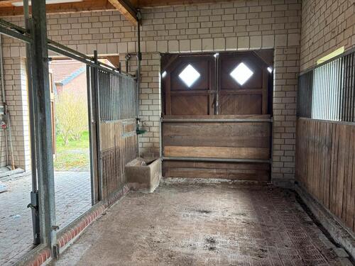 Foto - andere in Ostercappeln