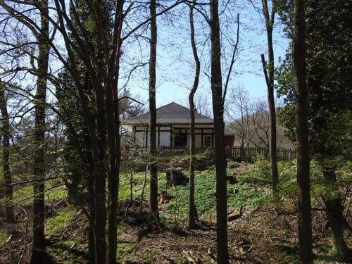 Foto - Ferienhaus 'Haus im Wald' absolute Alleinlage Nationalpark Eifel