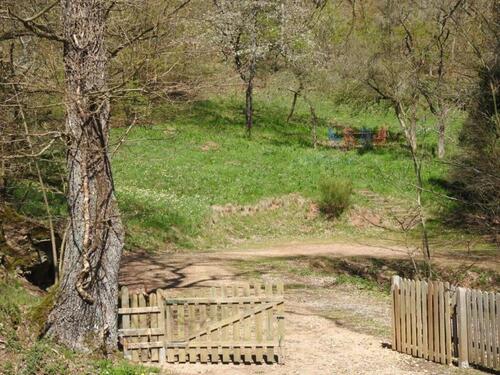 Foto - andere in Schleiden zur Miete