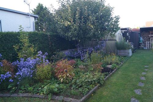 Foto - Einfamilienhaus in Sternberg zum Kaufen