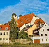Helle 1-Zimmer-Wohnung mit Südterrasse & Gartenzugang im Zentrum - Freiberg