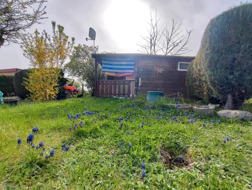 Foto - Dein Kleingarten wartet! 400 m² Parzelle in ruhiger Natur