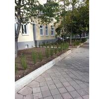 ATLAS IMMOBILIEN: Schöne Altbauwohnung mit Balkon und EBK - Erfurt Johannesplatz