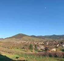 Helle ruhige 2 Zimmer Dachgeschoss-Wohnung mit großem Balkon - Bühl