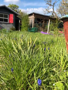 Foto - Grundst&uuml;ck zur Miete in Halle (Saale)