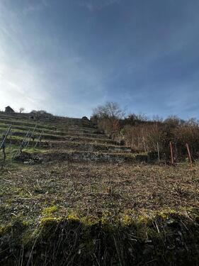 Foto - Grundst&uuml;ck zur Miete in Bietigheim-Bissingen