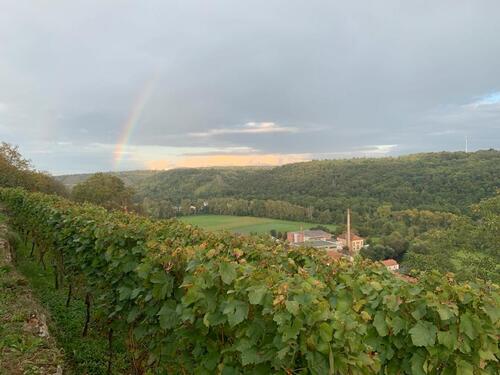 Foto - Grundst&uuml;ck in Bietigheim-Bissingen