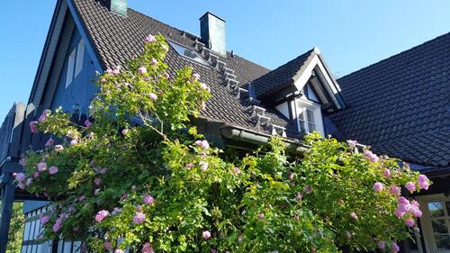 Foto - Landhaus, Fachwerkhaus, Forsthaus, Mehrfamilienhaus, Traumhaus...