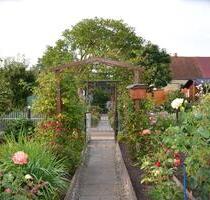 Kleingarten - 1.999,00 EUR Kaltmiete, ca. 0,00 m² in Greifswald (PLZ: 17489) Kleingarten - 1.999,00 EUR Kaltmiete, ca. 0,00 m² in Greifswald (PLZ: 17489)