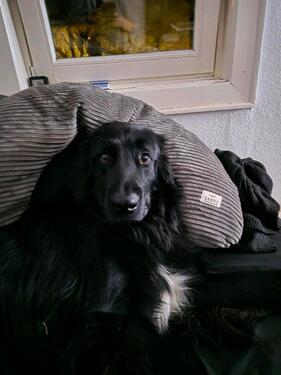 Foto - Kleines Haus oder Erdgeschosswohnung