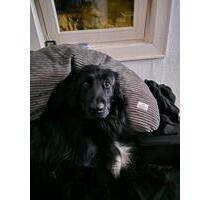 Kleines Haus oder Erdgeschosswohnung - Solms