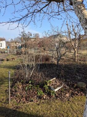 Foto - Grundst&uuml;ck in Wittenberg Lutherstadt zur Miete
