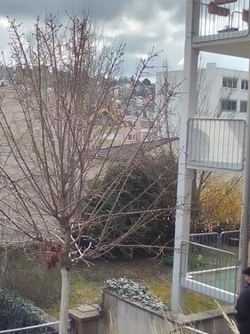 Foto - 2 Zimmer Etagenwohnung zur Miete in Pforzheim