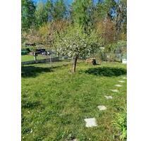 Kleingarten in Radeberger Gartensparte abzugeben .