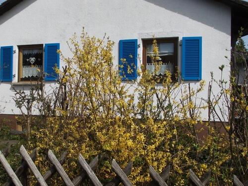 Foto - 3.5 Zimmer Bungalow in Uehlfeld