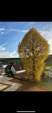 Foto - Etagenwohnung in Kirchhundem zur Miete
