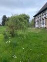 Foto - Einfamilienhaus in Dassel zum Kaufen