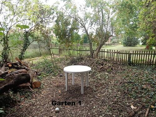 Foto - Einfamilienhaus zum Kaufen in Jessen (Elster)