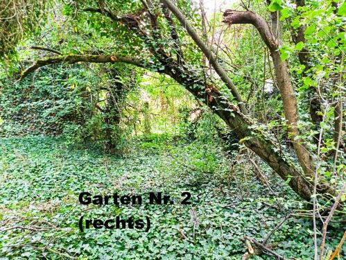 Foto - Einfamilienhaus in Jessen (Elster)