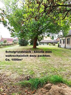 Foto - Einfamilienhaus in Jessen (Elster) zum Kaufen