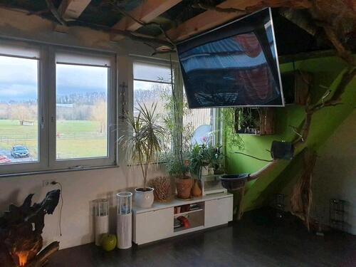 Foto - 7 Zimmer Einfamilienhaus zum Kaufen in Langenbrettach