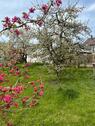 Foto - Einfamilienhaus in Blaustein