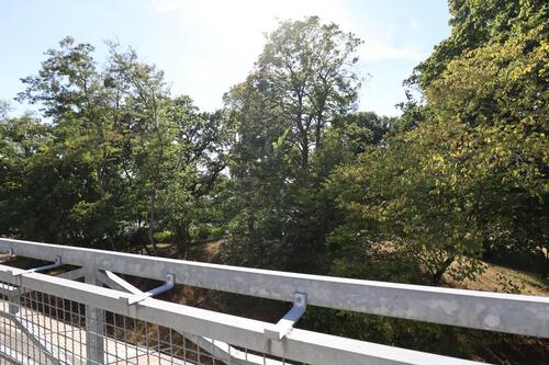 Foto - 2 Zimmer Dachgeschoßwohnung zur Miete in Ludwigslust