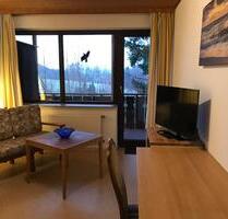 1-Zimmer-Appartment - 220,00&nbsp;EUR Kaltmiete, ca.&nbsp; 20,00&nbsp;m&sup2; in Grasellenbach (PLZ: 64689)