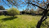 Foto - Kleingarten 290qm - 2.000,00&nbsp;EUR Kaltmiete, ca.&nbsp; 0,00&nbsp;m&sup2;
