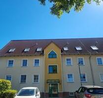 Charmante 2-Zimmer-Wohnung mit großzügigen, hellen Räumen in ruhiger Lage - Halberstadt