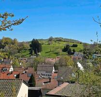 Echtholzhaus mit wunderschönem Ausblick in Reutlingen-Bronnweiler