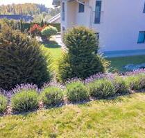 Moderne 4,5-Zimmer-Erdgeschoss Haushälfe mit großem Garten - Eging am See