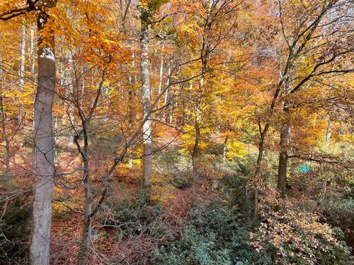 Foto - Etagenwohnung in Schlangenbad