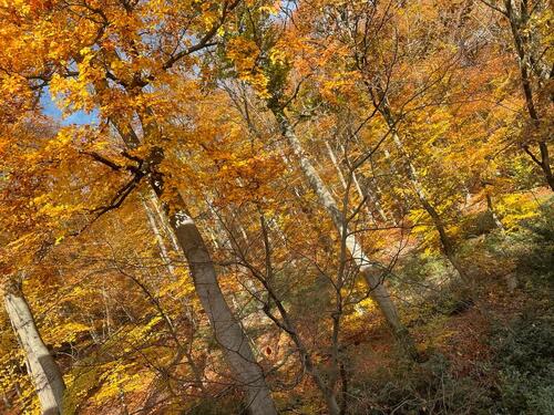 Foto - Etagenwohnung in Schlangenbad zur Miete