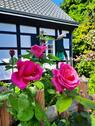 Foto - 5 Zimmer Einfamilienhaus zum Kaufen in Mülheim an der Ruhr