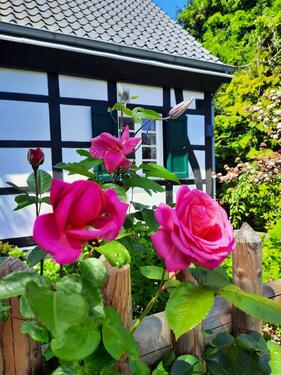 Foto - 5 Zimmer Einfamilienhaus zum Kaufen in Mülheim an der Ruhr