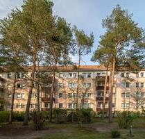 2-Raum-Wohnung im Grünen - 275,00&nbsp;EUR Kaltmiete, ca.&nbsp; 45,00&nbsp;m&sup2; in Bad Liebenwerda (PLZ: 04924)