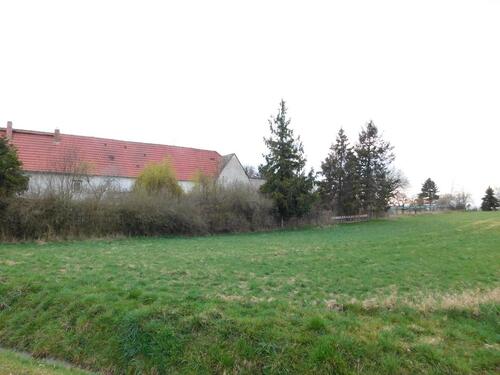 Foto - 12 Zimmer Einfamilienhaus zum Kaufen in Bad Bibra