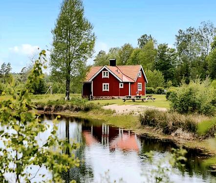Foto - Ferienhaus in Schweden (Halland) + 2 Haustiere