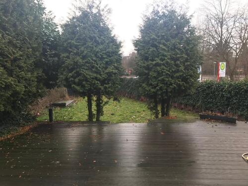 Foto - 3 Zimmer Erdgeschoßwohnung in Lüneburg