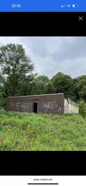 Foto - andere in Braunschweig