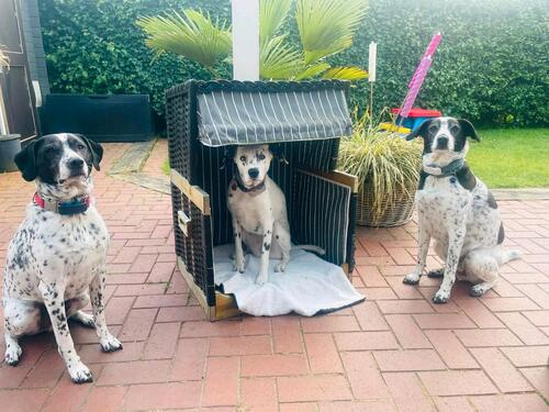 Foto - andere in Datteln zur Miete